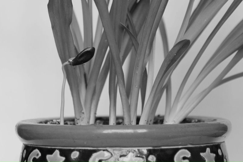 Светлана Семидел | Москва