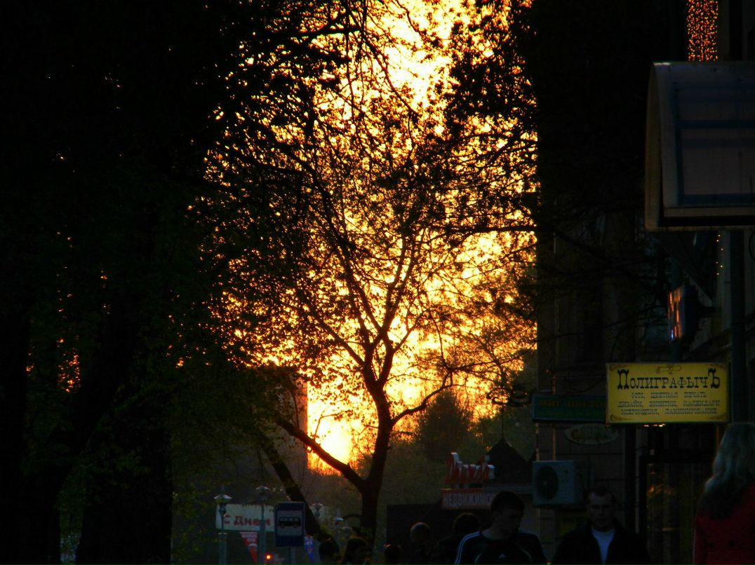 Даша Глазунова | 