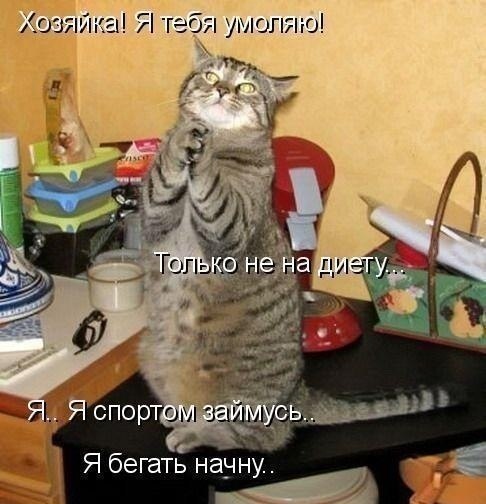 Галина Владычкина | Архангельск