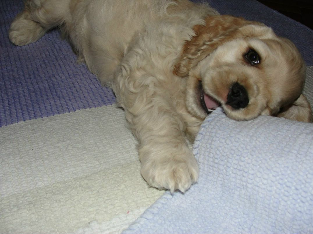 Виктория Кудрявцева | Сочи