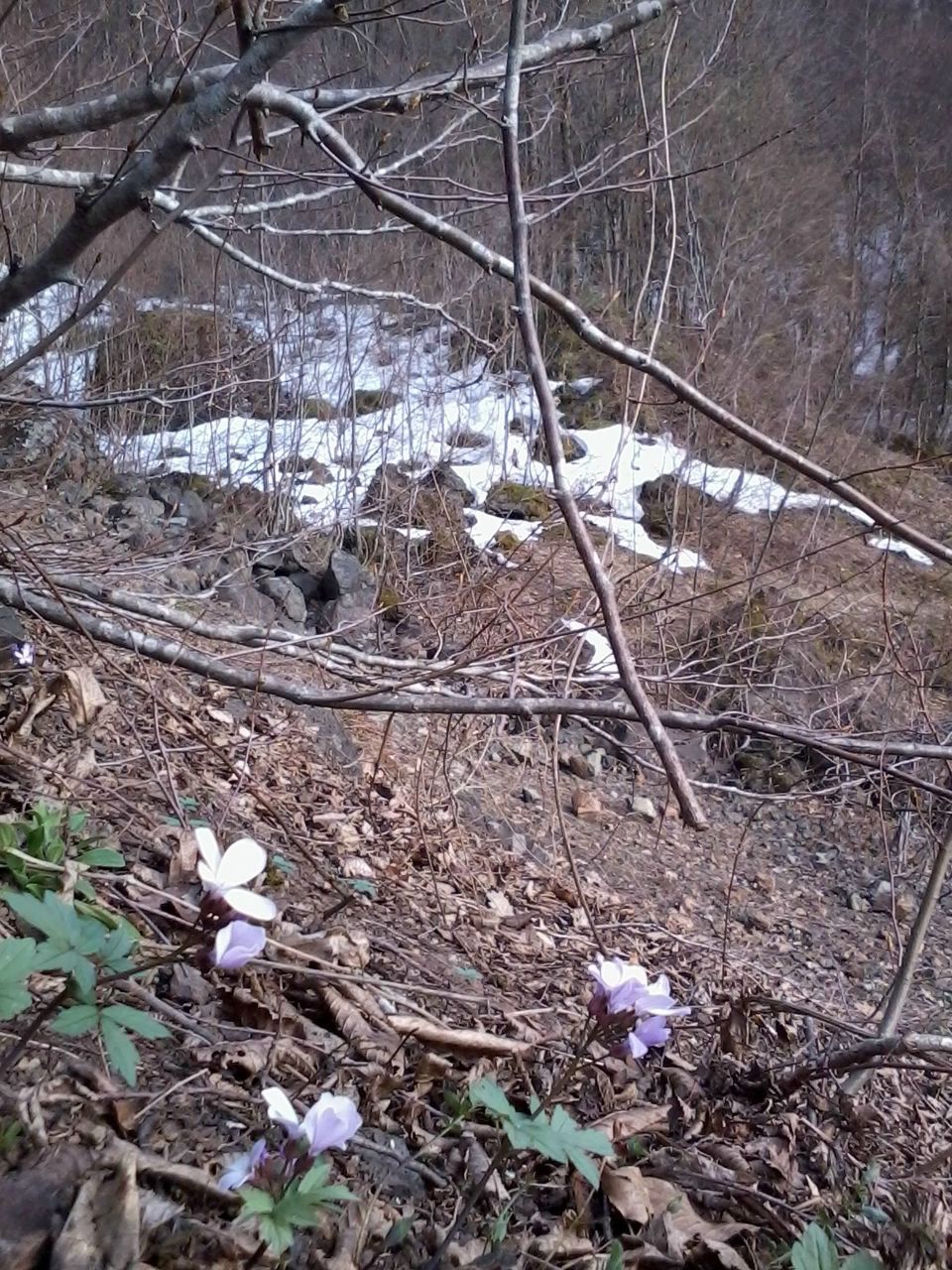 Полина Игнатенко | Сочи