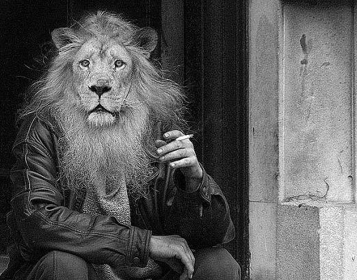 Сивохин Всеволод | Нижний Новгород