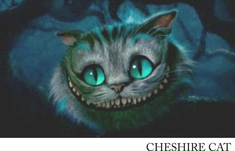 Ирина Елагина =)Пушинка(= | Москва