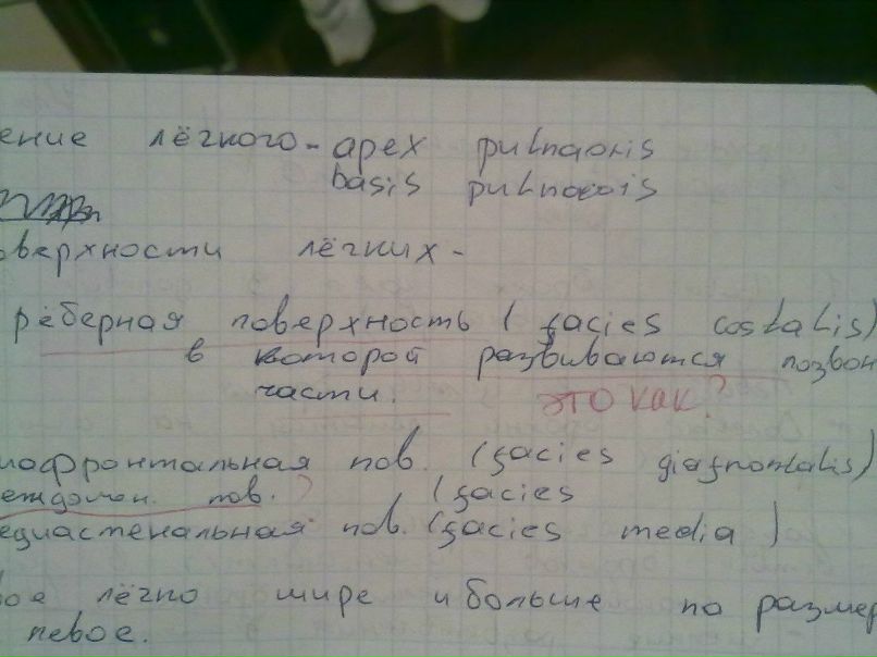 Марина Рысь Дмитриевна | 