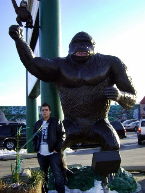 Любомир Левицький | Chicago