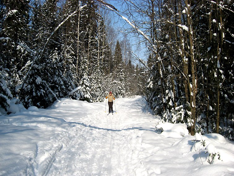 Лариса Старкова-Решетова | Toronto