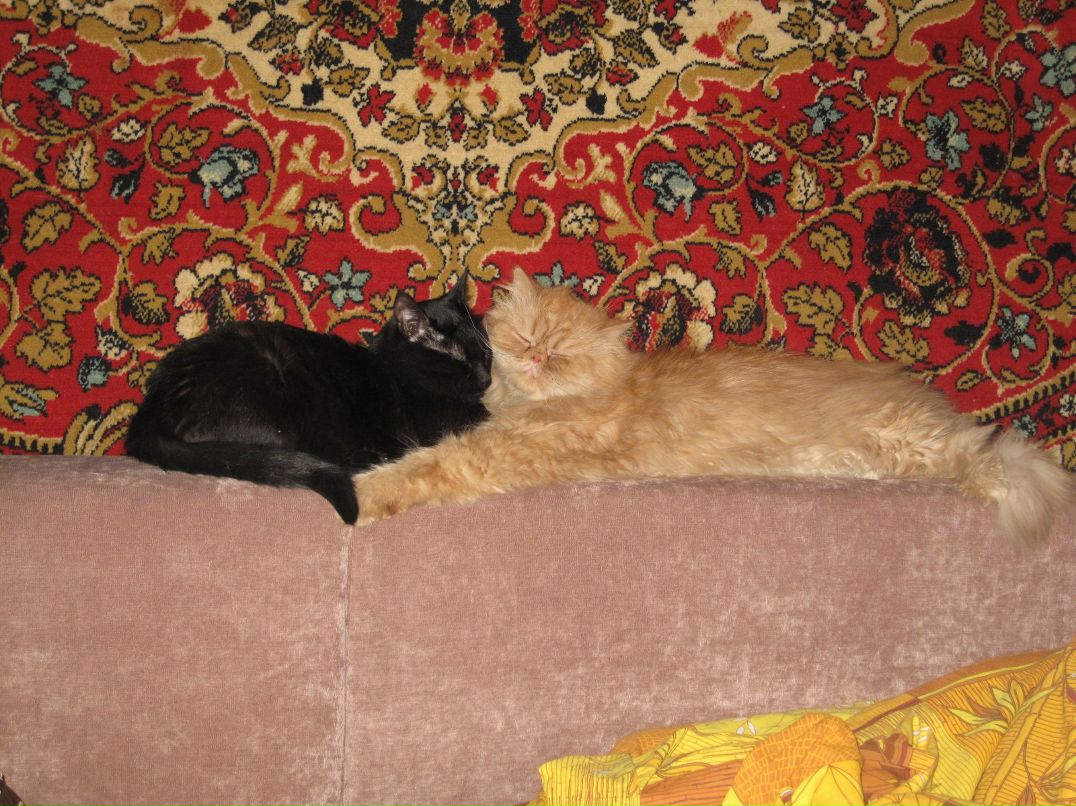 Анастасия Малахова Kolibry | Москва