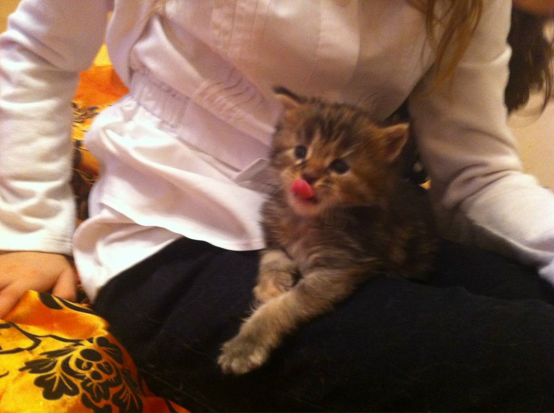 Екатерина Аккузина | Санкт-Петербург