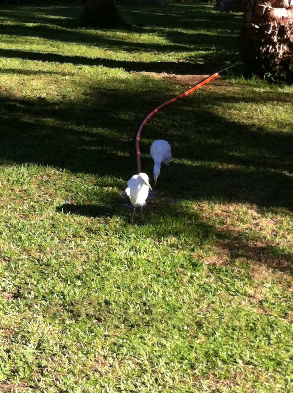 Вадим-S Тимчук MeyCry | Киев