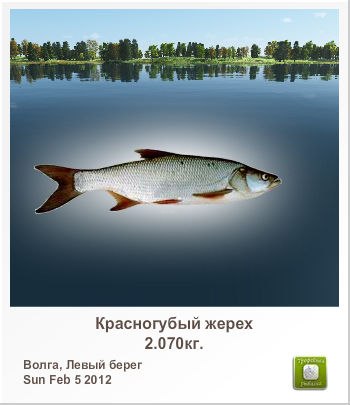 Виктор Чугунов | Москва