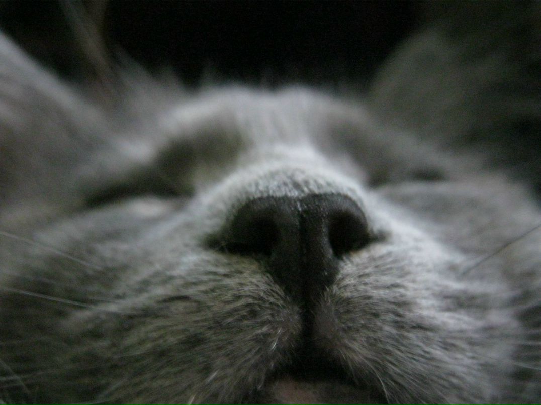 Юлия Швец | Харьков