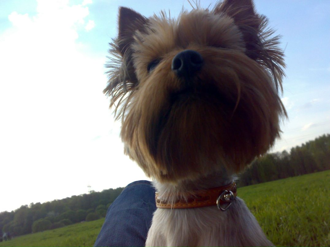 Карина Скачёва | Москва