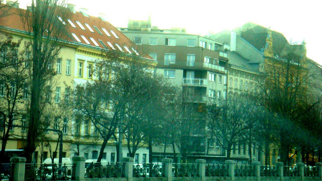 Майя Савельева | Москва