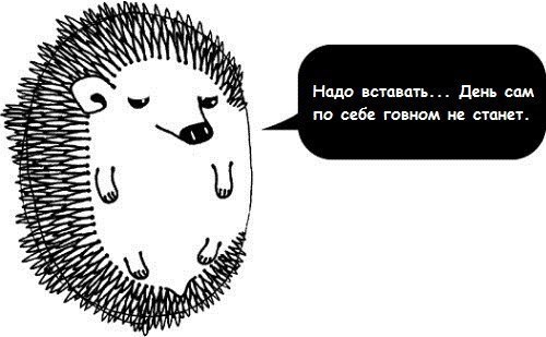 Мистер Оранжевый | Самара