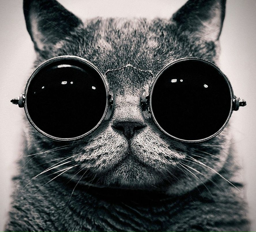 Александр Долгов | Ревда