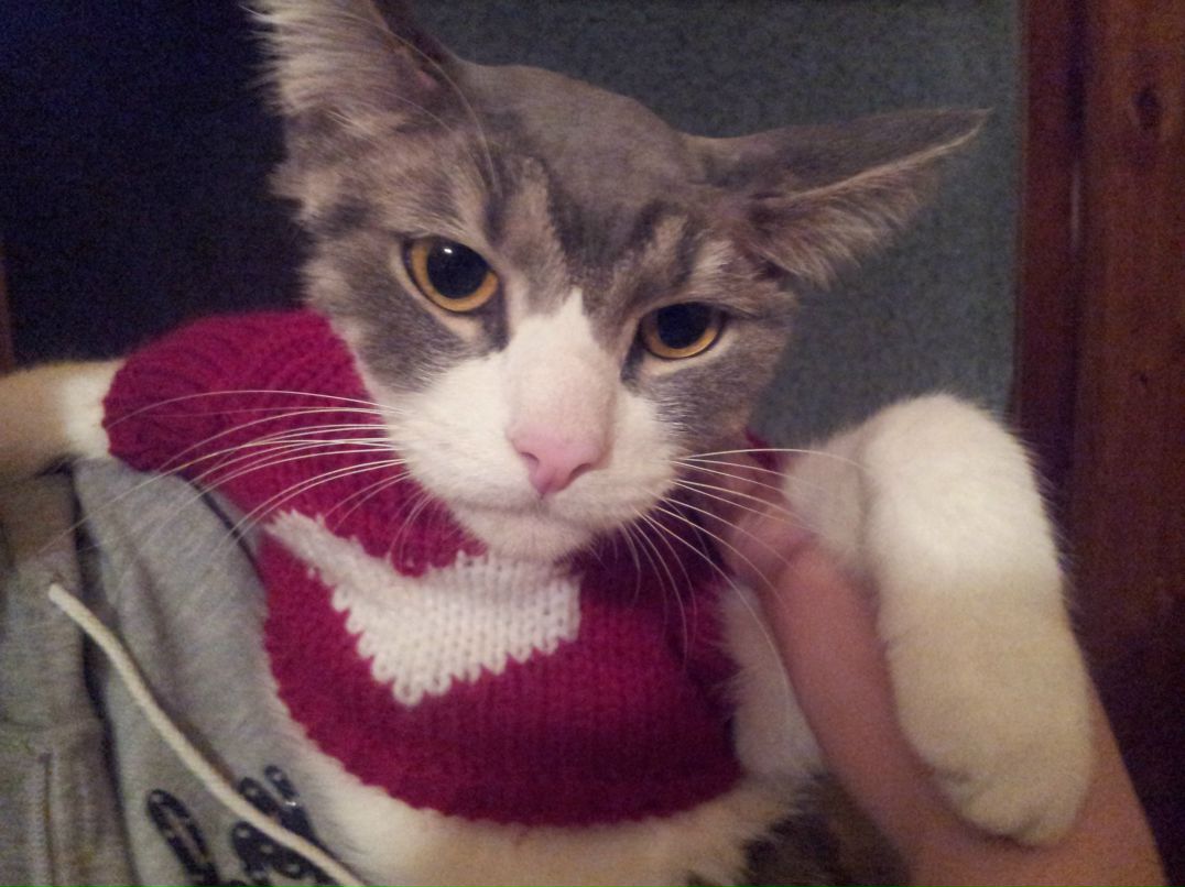 Григорий Михайлов | Пушкино