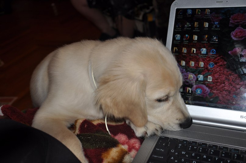 Кристина Пелих .◕‿◕. | Москва