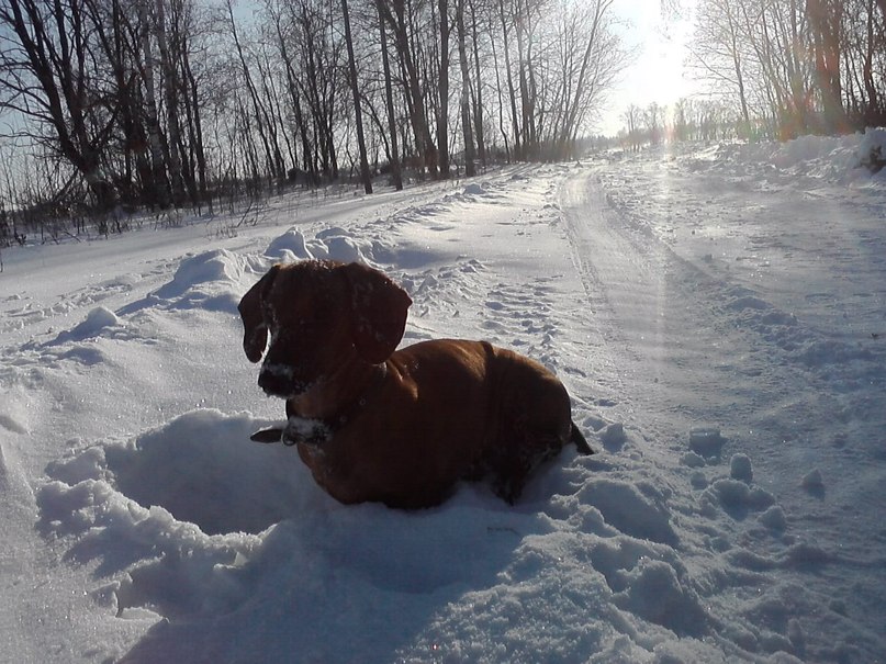 Надюшка Калашникова | 