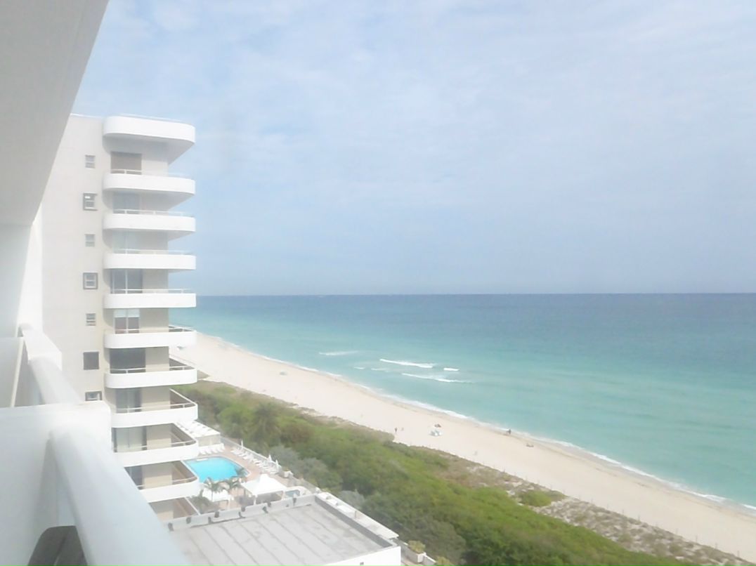 Alina Gibbons | Philadelphia