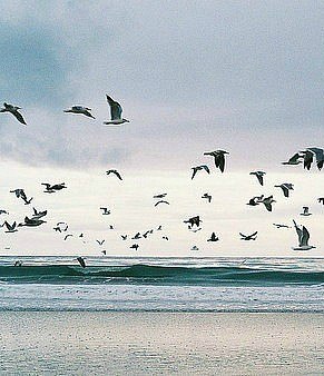 Просто Мариша | 