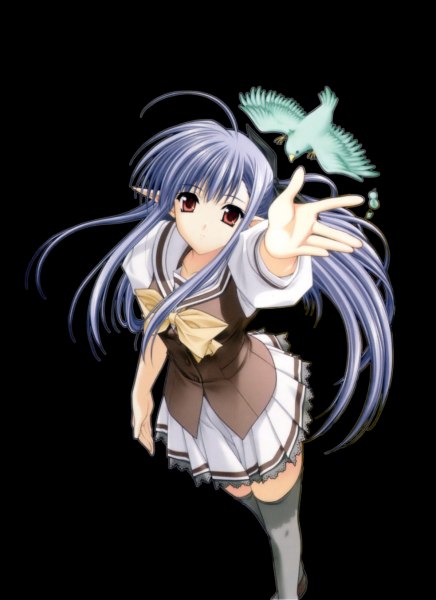 Максим Левченко | Новосибирск