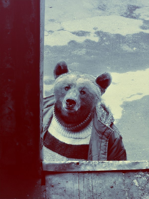 Bvo Blk | The Valley