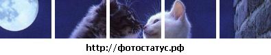 Фотография Татьяна Бурцева
