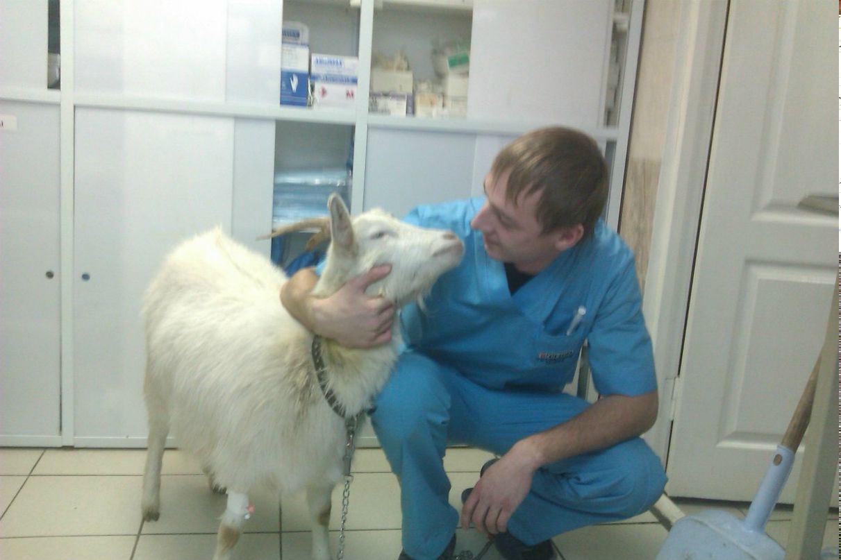 Андрей Багатов | Новосибирск