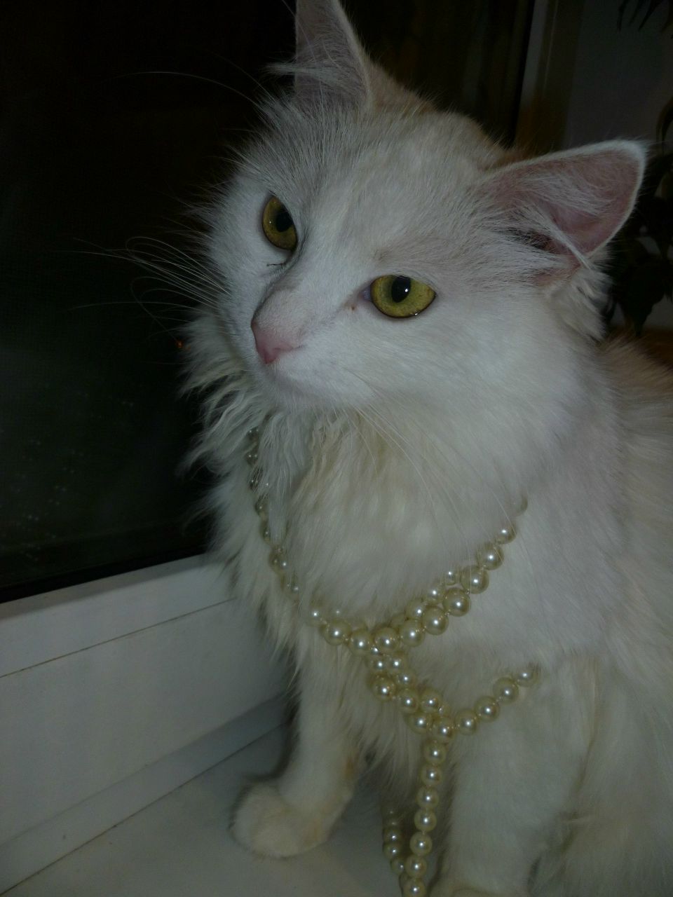 Ольга Ткаченко | Минск