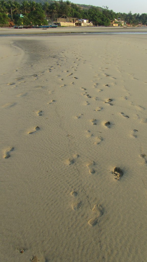 Екатерина Бричкина | Москва