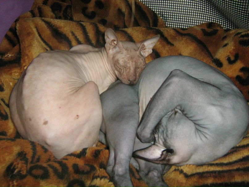 Кристина Сенчугова ♥^√V''^√\√V''^√\♥ | Владимир