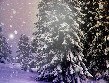 Тамара Аникина | Череповец