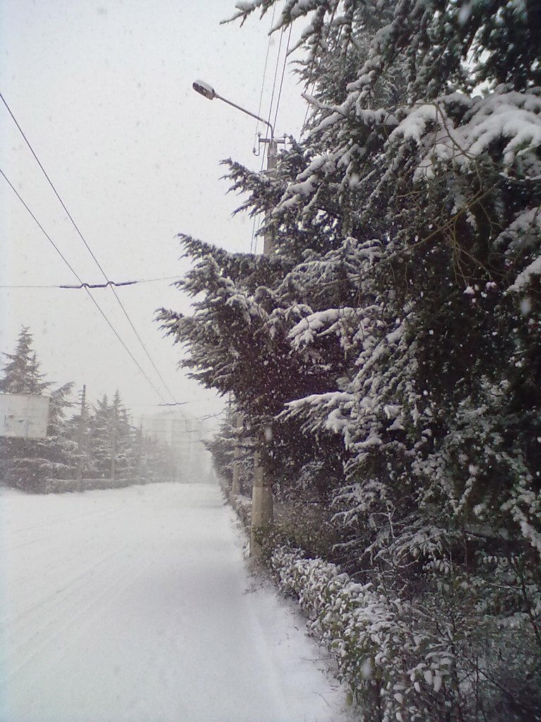 Сергей Мевший | Кривой Рог