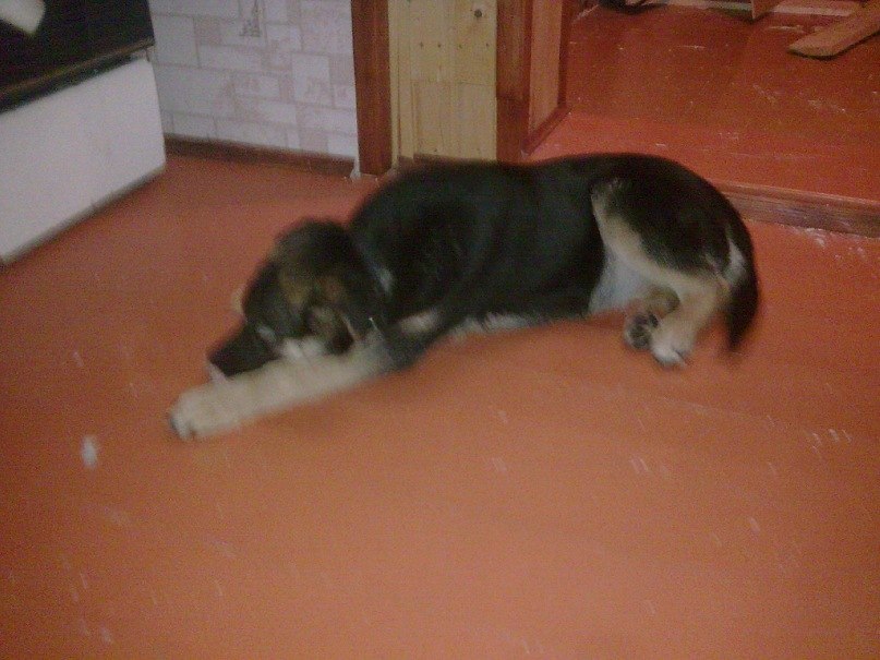 Паша Никулочкин Face-control | Калуга