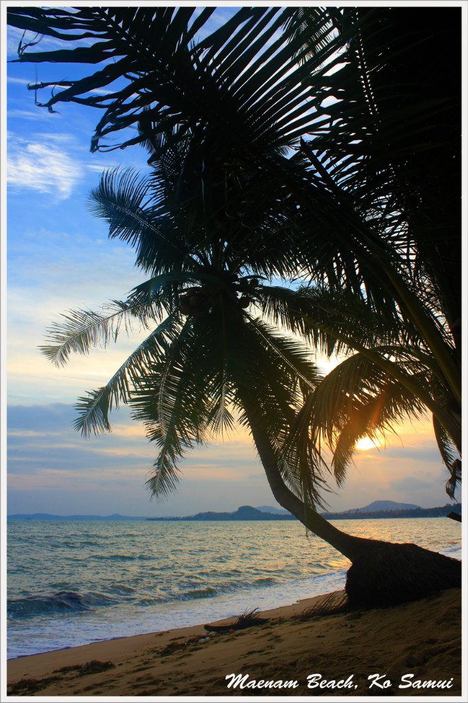 Юрий Воротников | Новосибирск