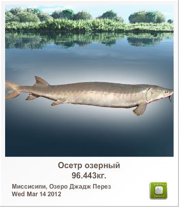 Сергій Шумелда | Тернополь