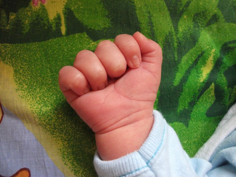 Екатерина Теплова | Калининград