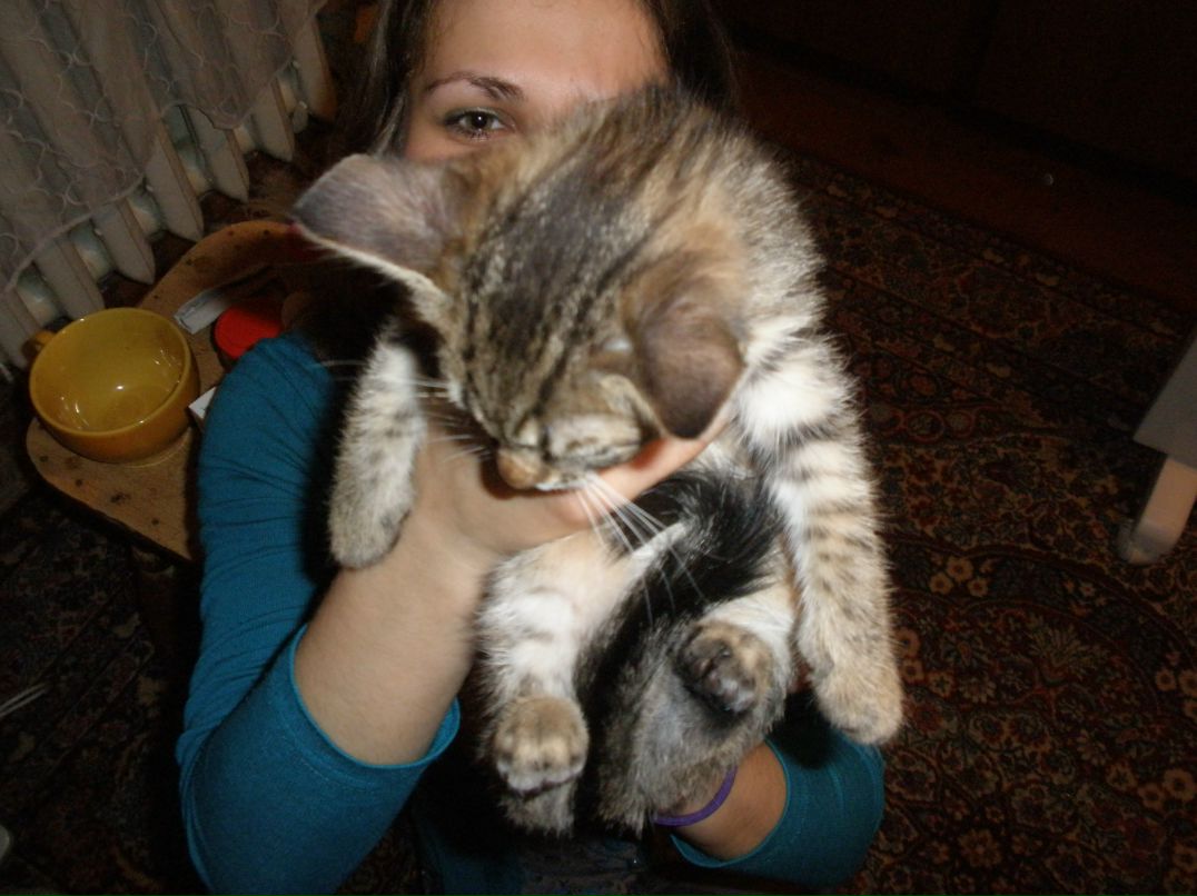 Швейцар Оганян | Киев