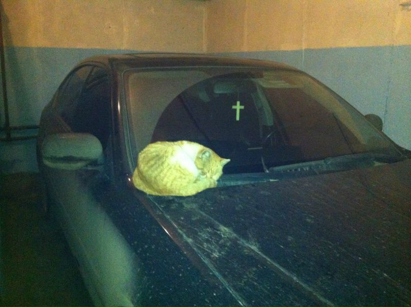 Эрик Мхитарян | Москва