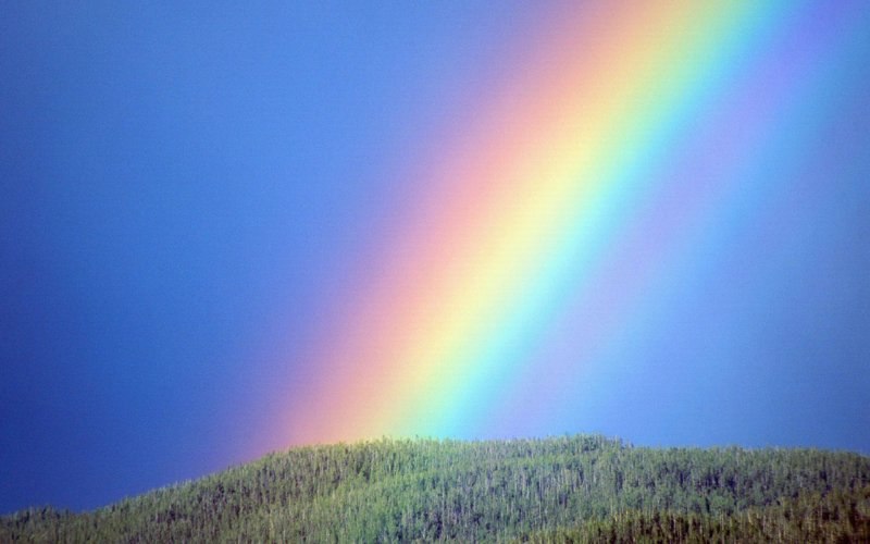 Маша Козлова | Санкт-Петербург