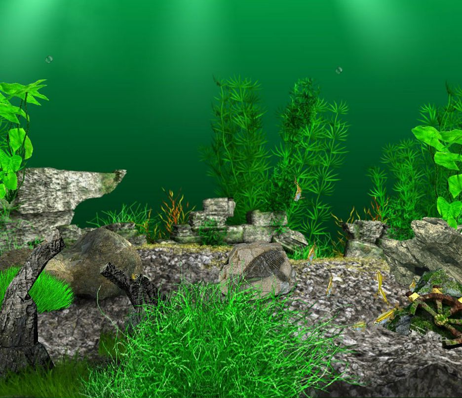 Елена Некраш | Тутаев