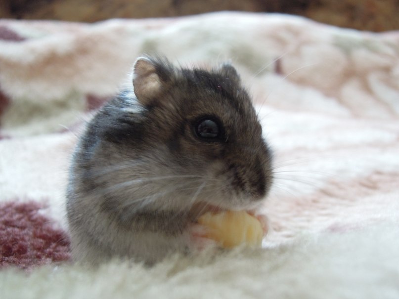 Никита Акинин | Петрозаводск