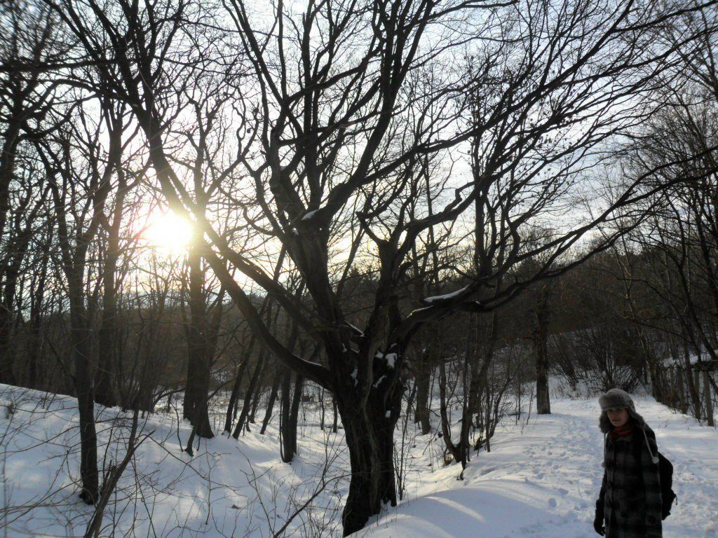 Елена Лабзина lenchick | 