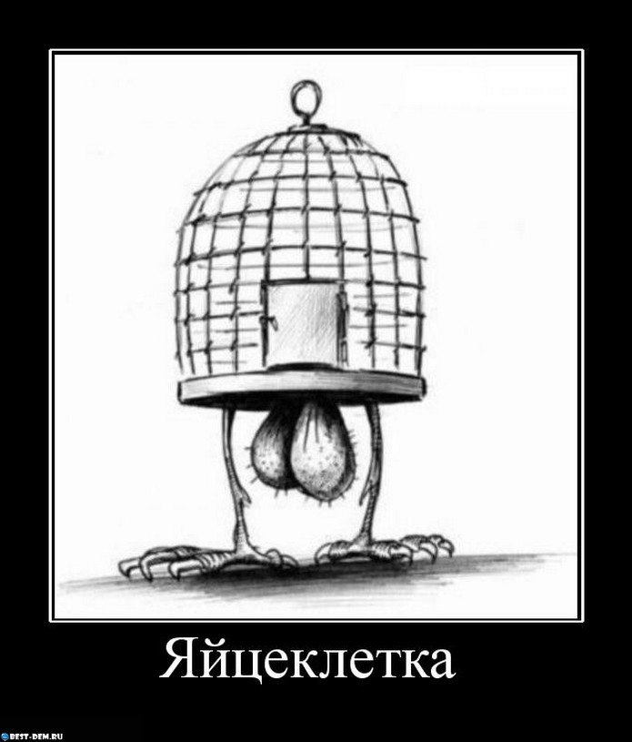 Андрей Скрипка | Минск