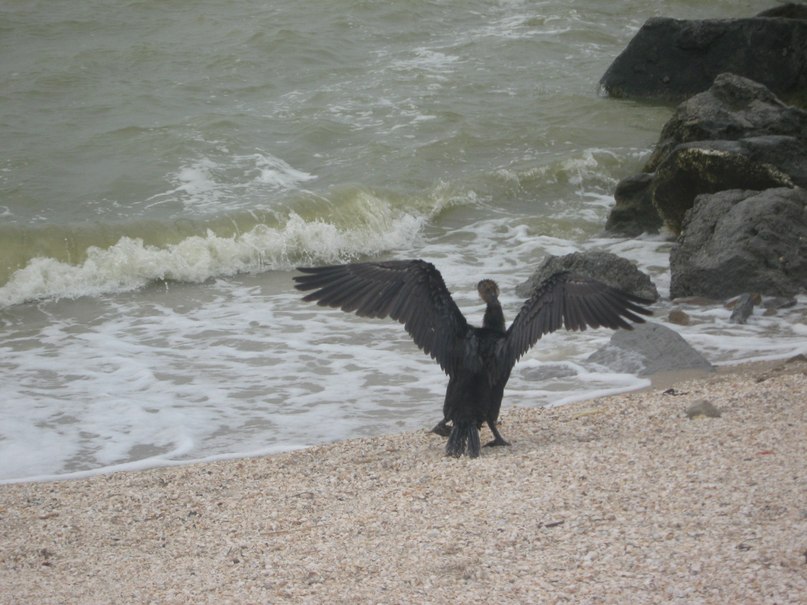 Олеся Мартьянова | Саратов