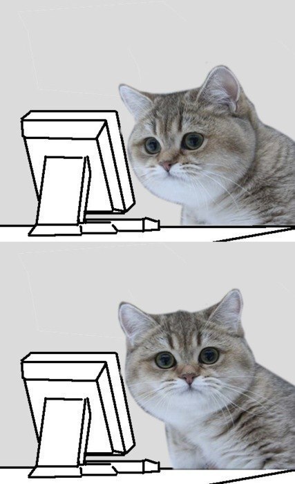 Елена Рыбина | Клин