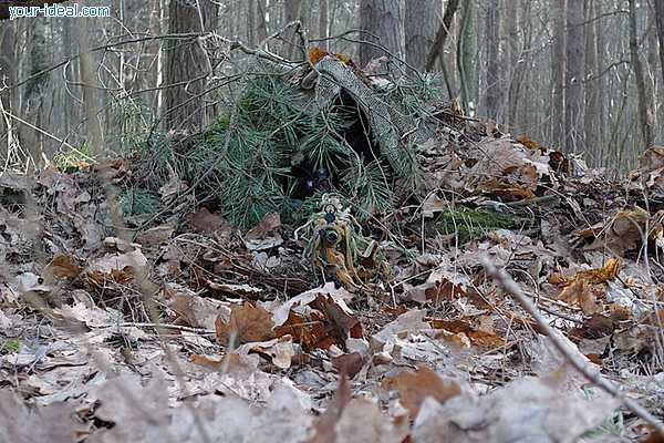 Евгений Бегдаш | Симферополь
