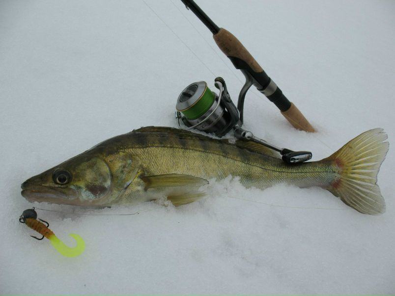 №100, Дэн Вихров, 37 лет, Москва, Россия №100, Дэн Вихров, 37 лет, Москва, Россия