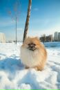 Фотография Евгений Ларичев