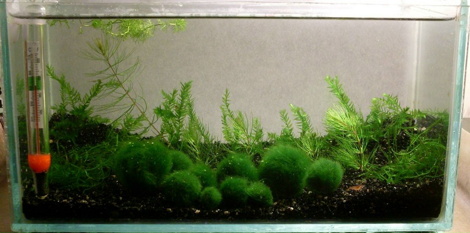 Василий Иванович | Казань